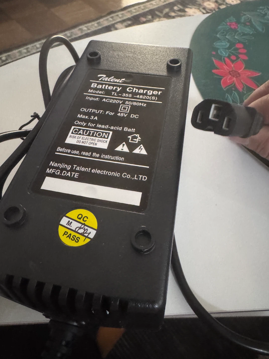 E-bike Battery Charger