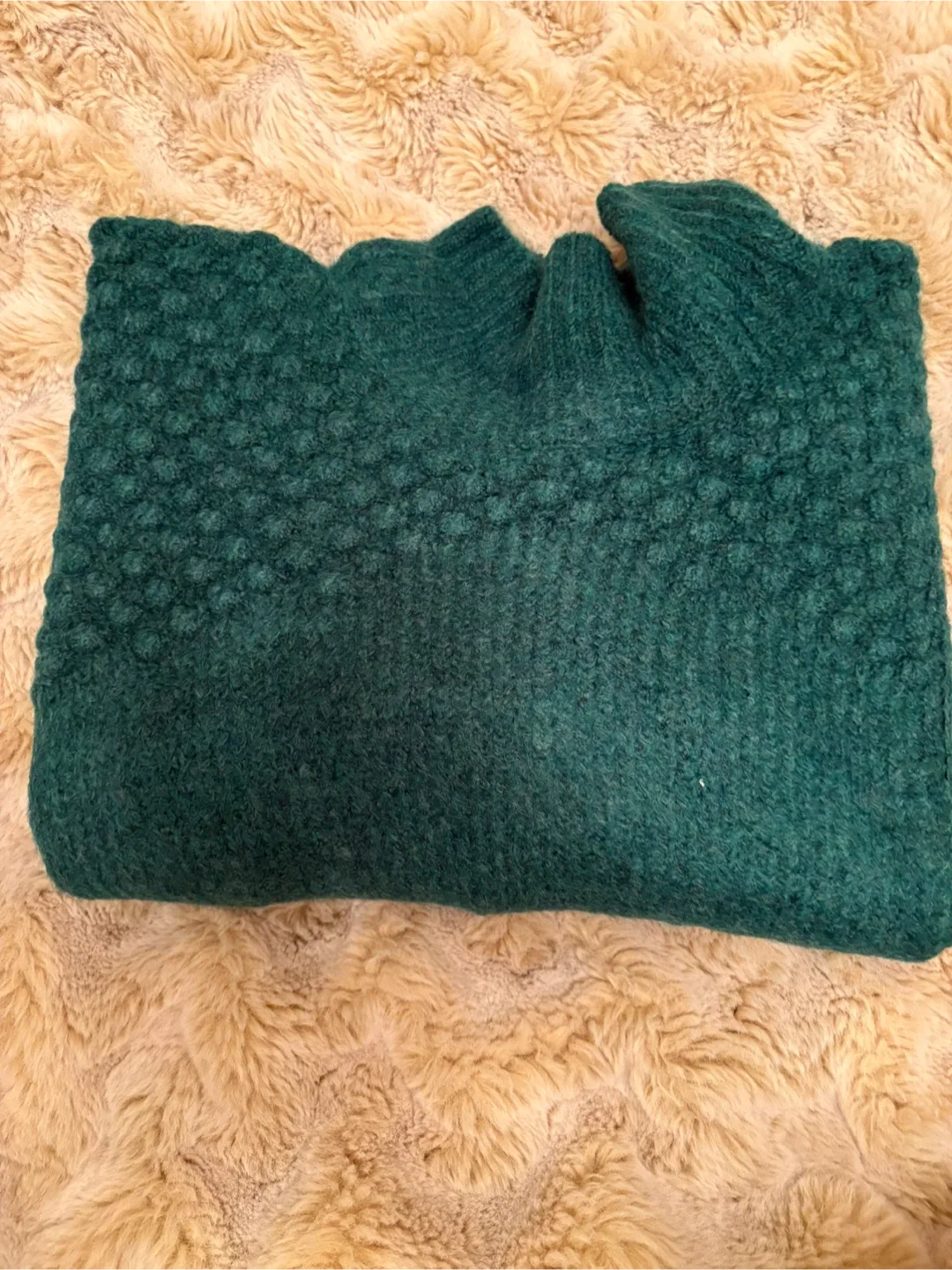 NWT Free People Bradley Sweater - Alpine XL image indicator(3)