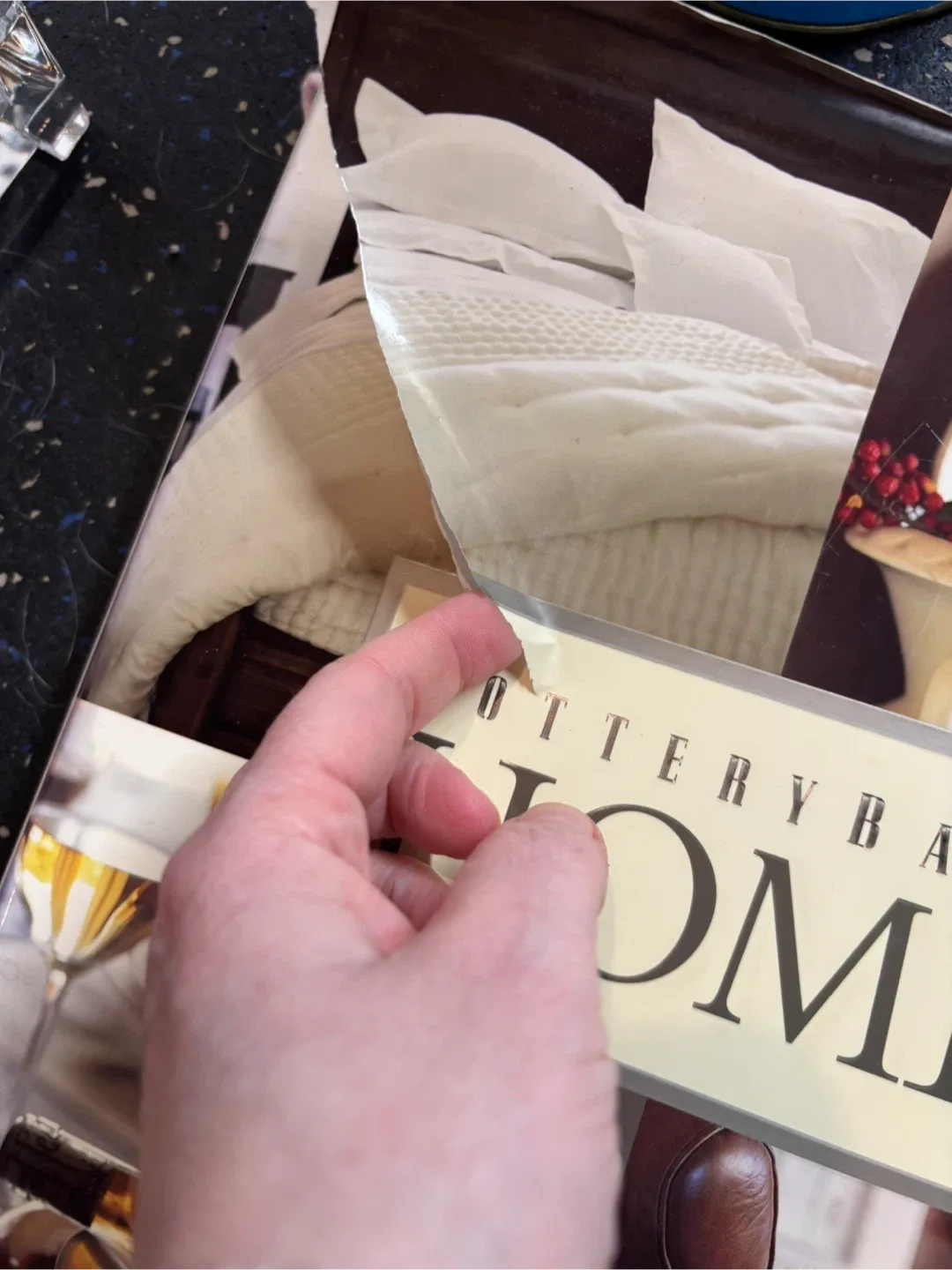 Pottery Barn HOME Decorating Book image indicator(3)