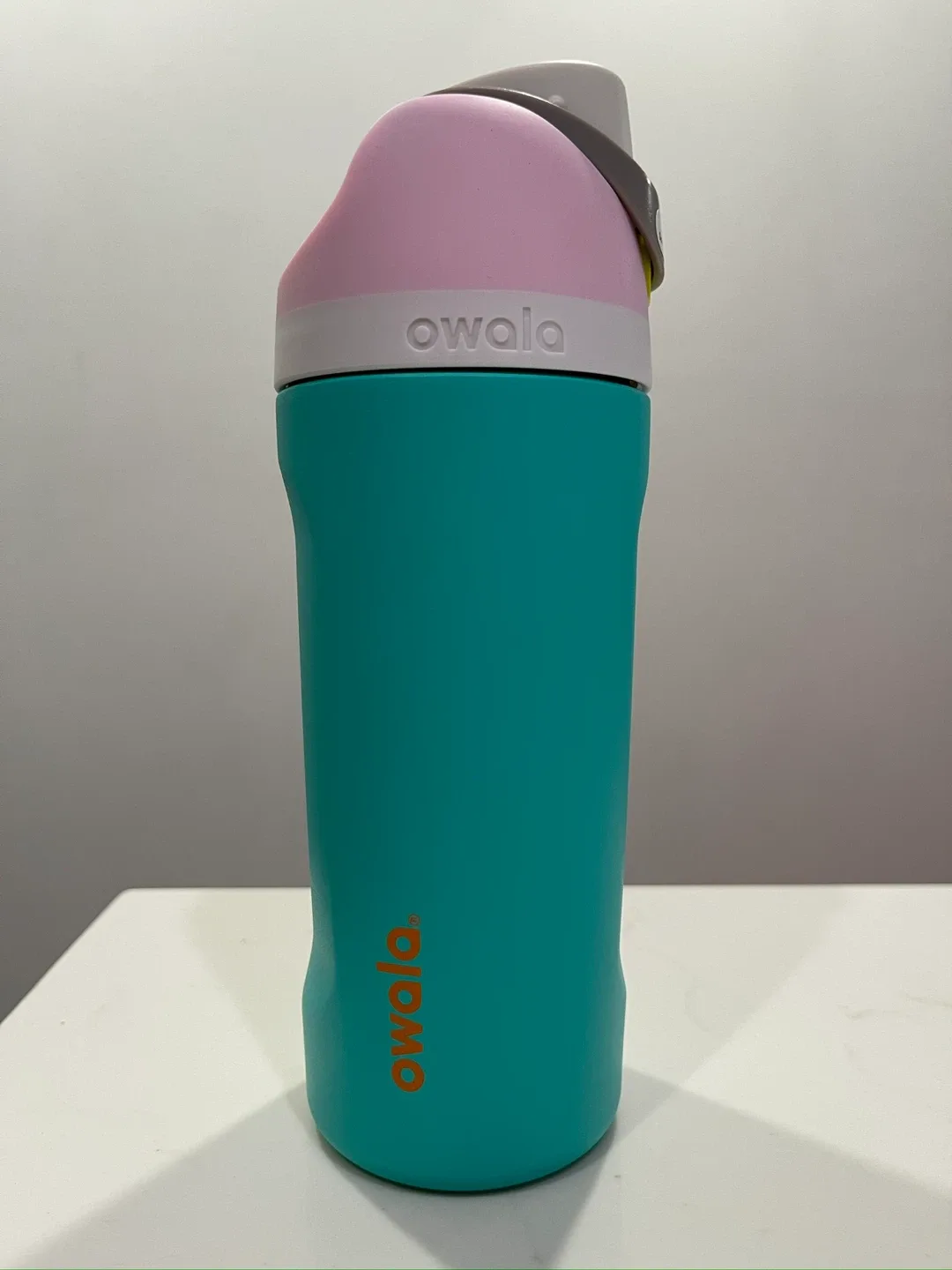 Owala FreeSip Stainless Steel Water Bottle 16oz