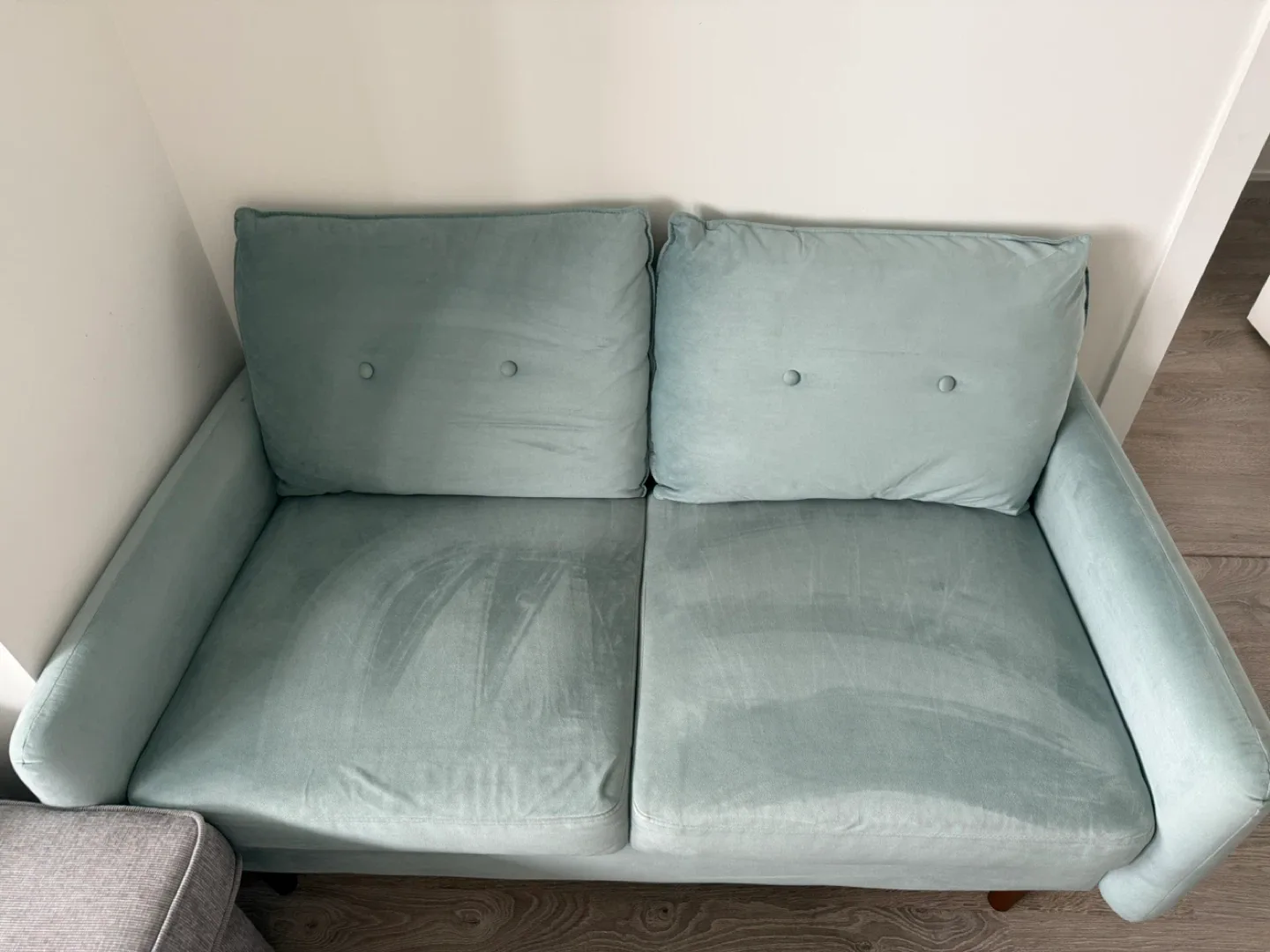 Velvet sofa couch