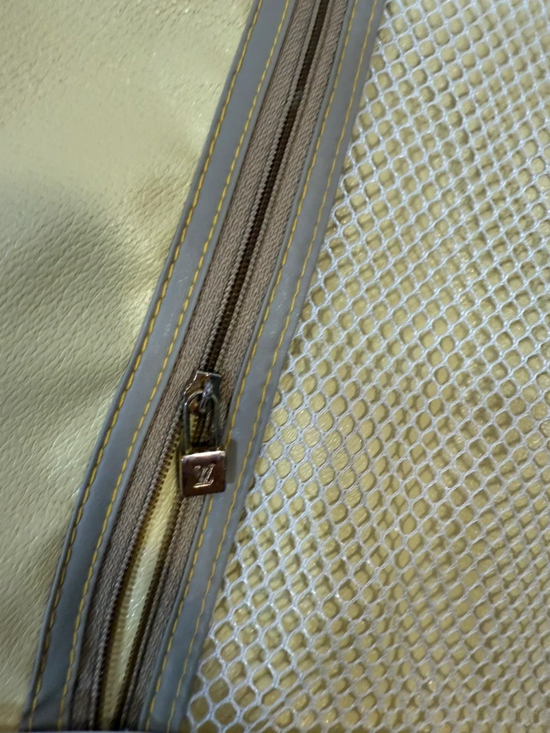 LV Hand carry image indicator(10)