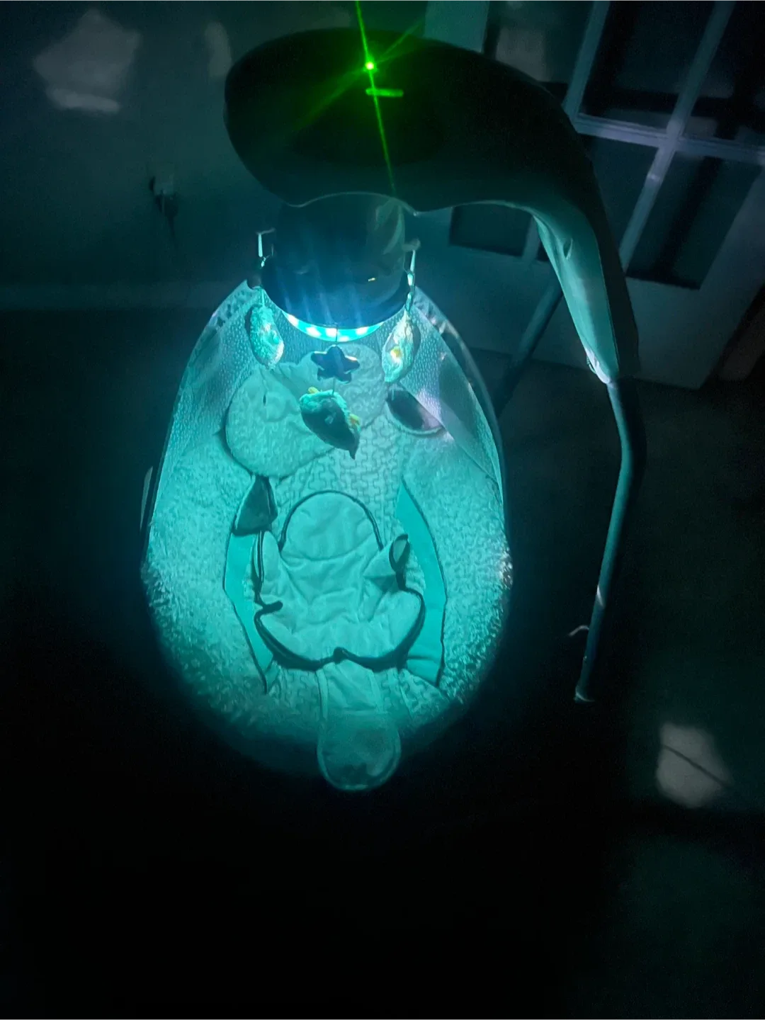 Fisher-Price Cradle 'n Swing