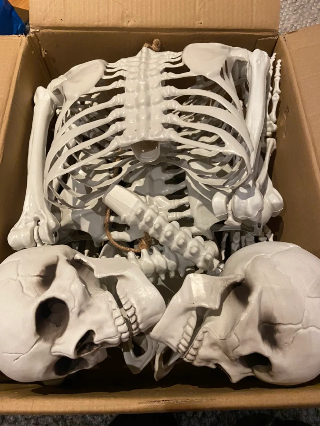 2 Piece XONOR 5.9ft Halloween Life Size Skeletons image indicator(6)