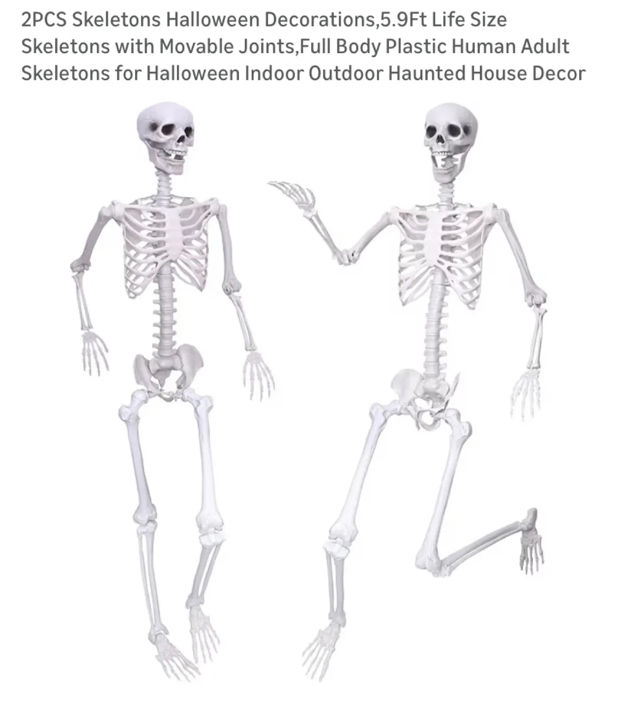 2 Piece XONOR 5.9ft Halloween Life Size Skeletons