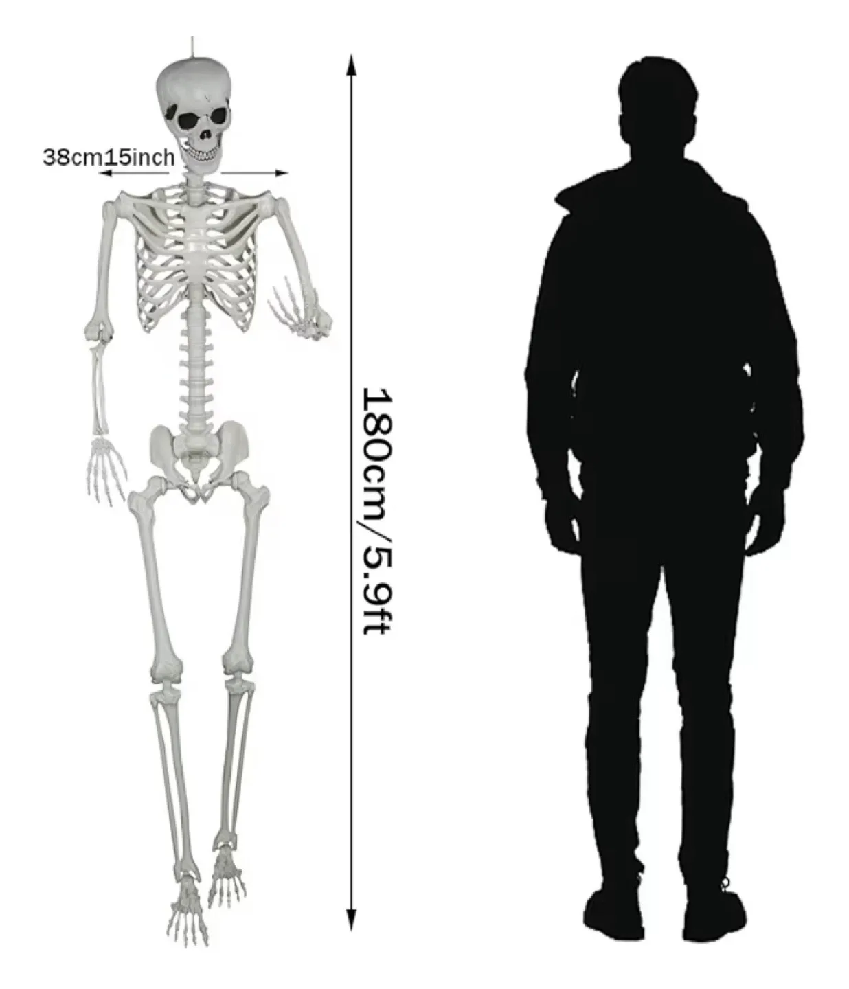 2 Piece XONOR 5.9ft Halloween Life Size Skeletons image indicator(5)