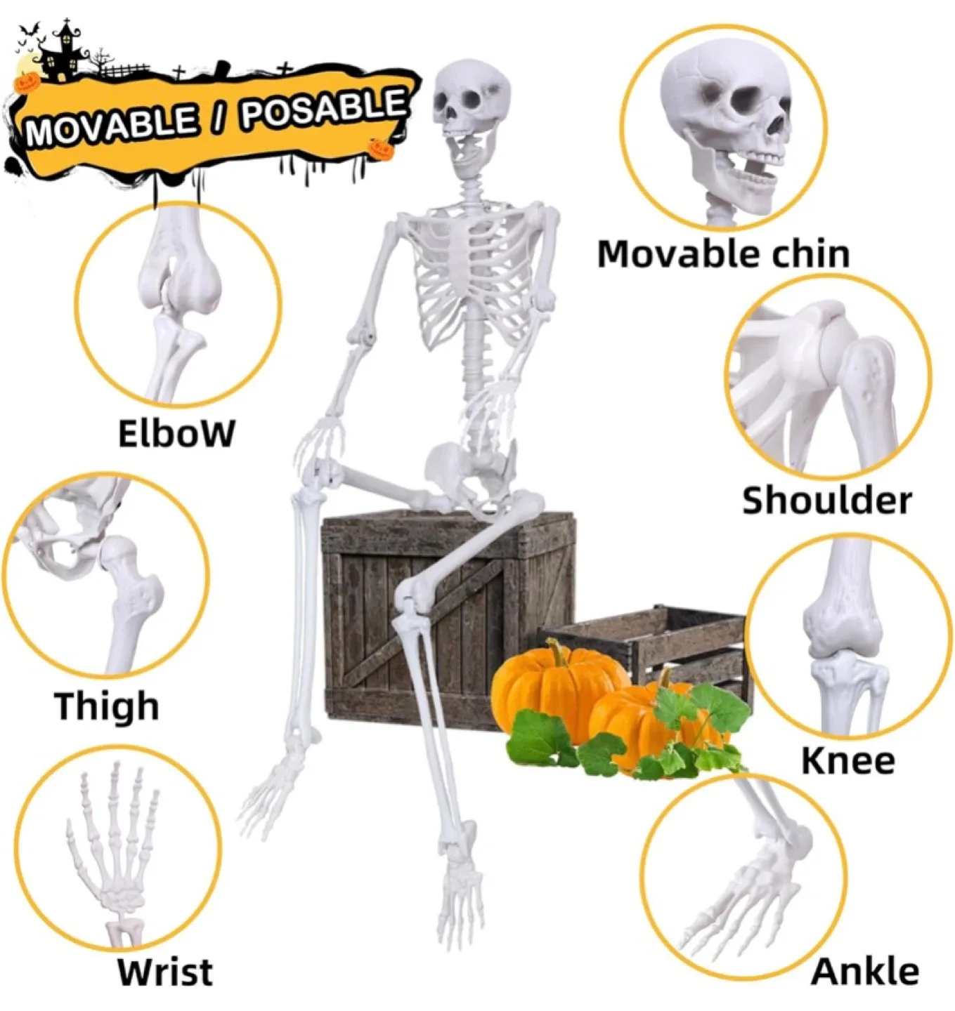 2 Piece XONOR 5.9ft Halloween Life Size Skeletons image indicator(2)