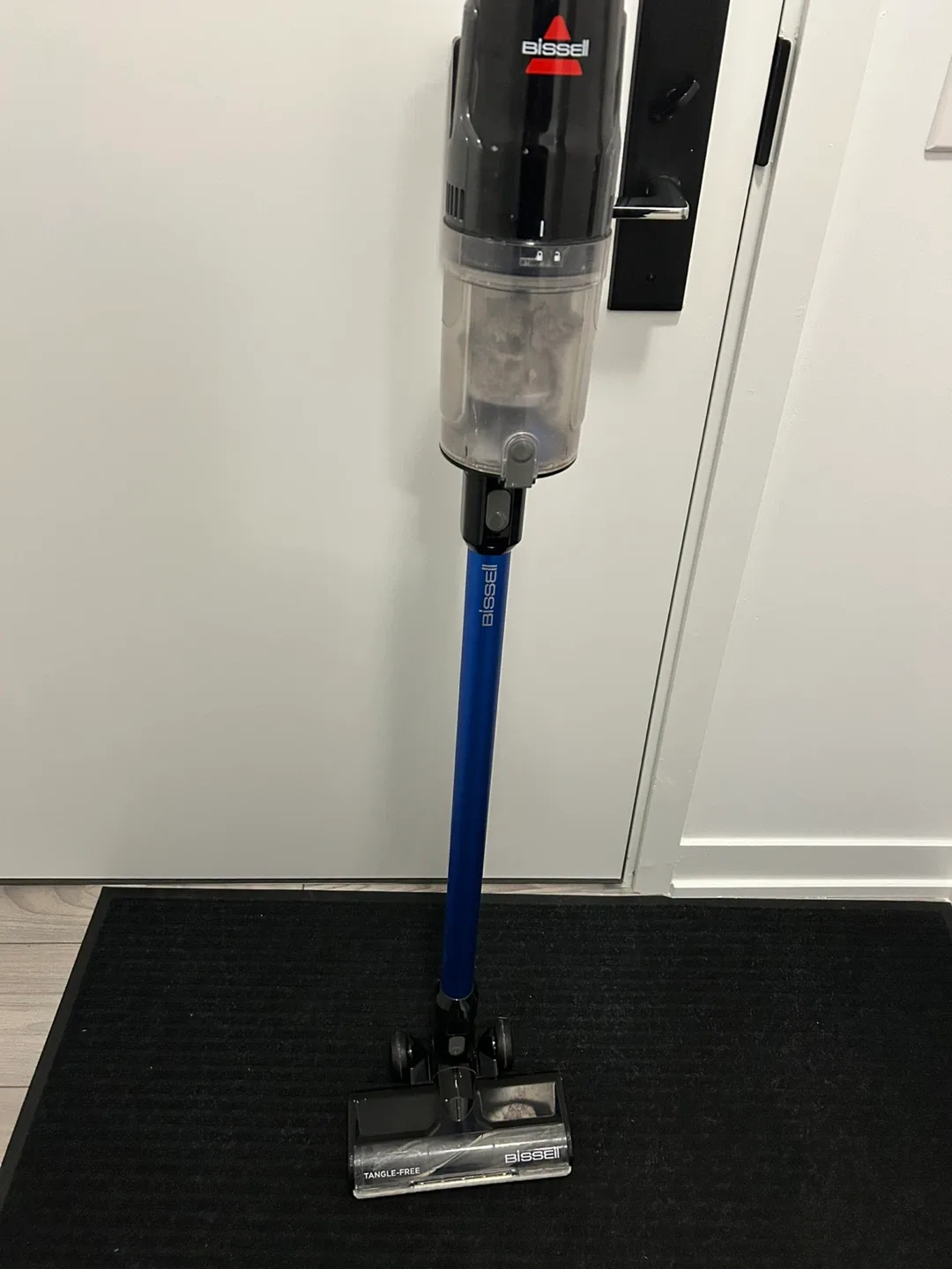 Bissell Cordless Vacuum - Blue
