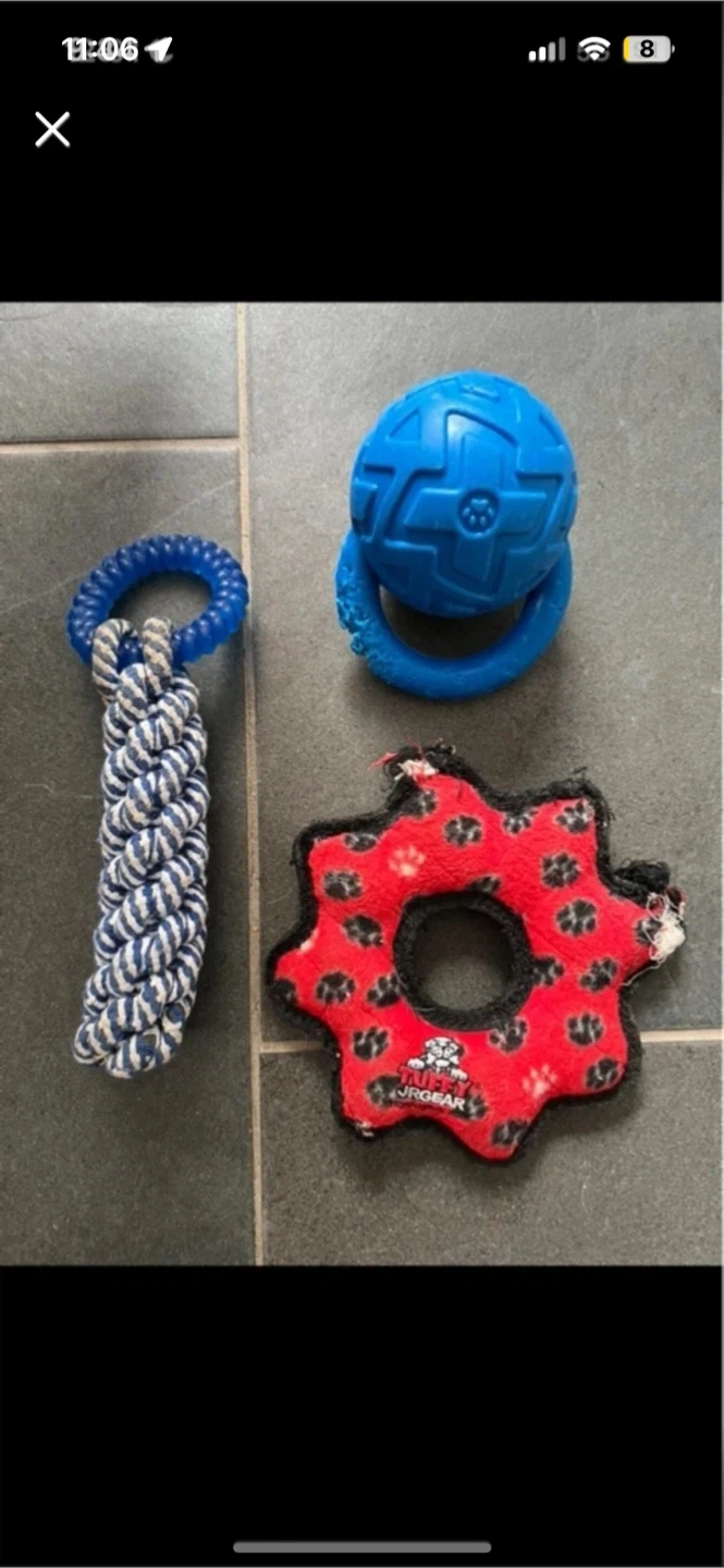 Dog Toys