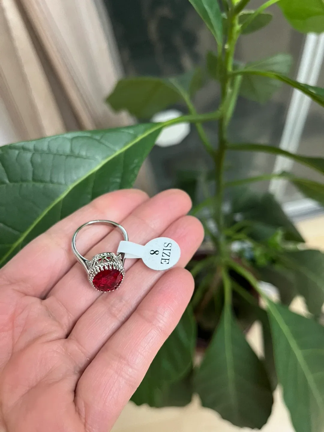 Red zircon Stone Jewellery Set - Ring Size 8 image indicator(5)