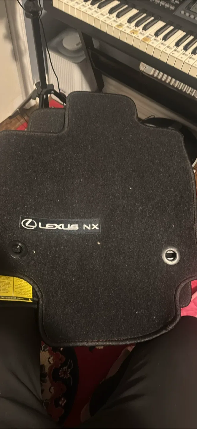 Lexus NX Black Floor Mats