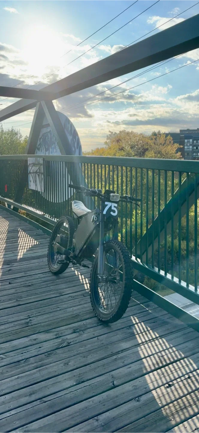 Electric Dirt Bike/Surron killer