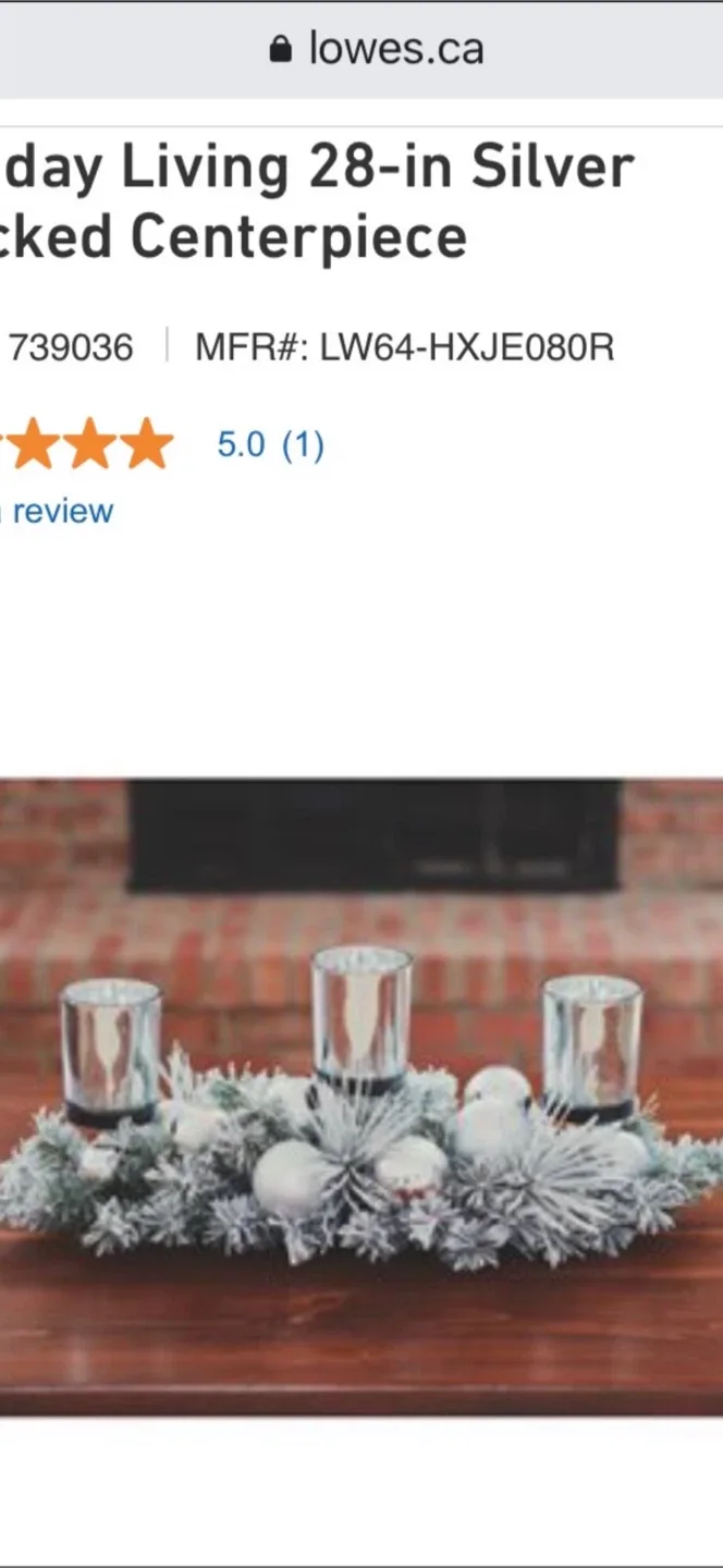 Holiday Living 28-in Silver Flocked Centerpiece image indicator(2)