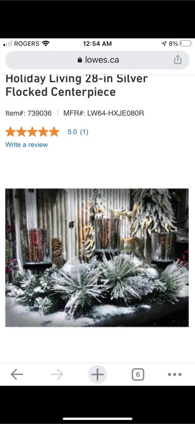 Holiday Living 28-in Silver Flocked Centerpiece