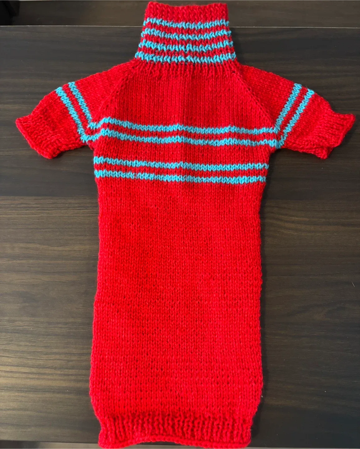 Hand-knitted Red & Blue Dog Sweater