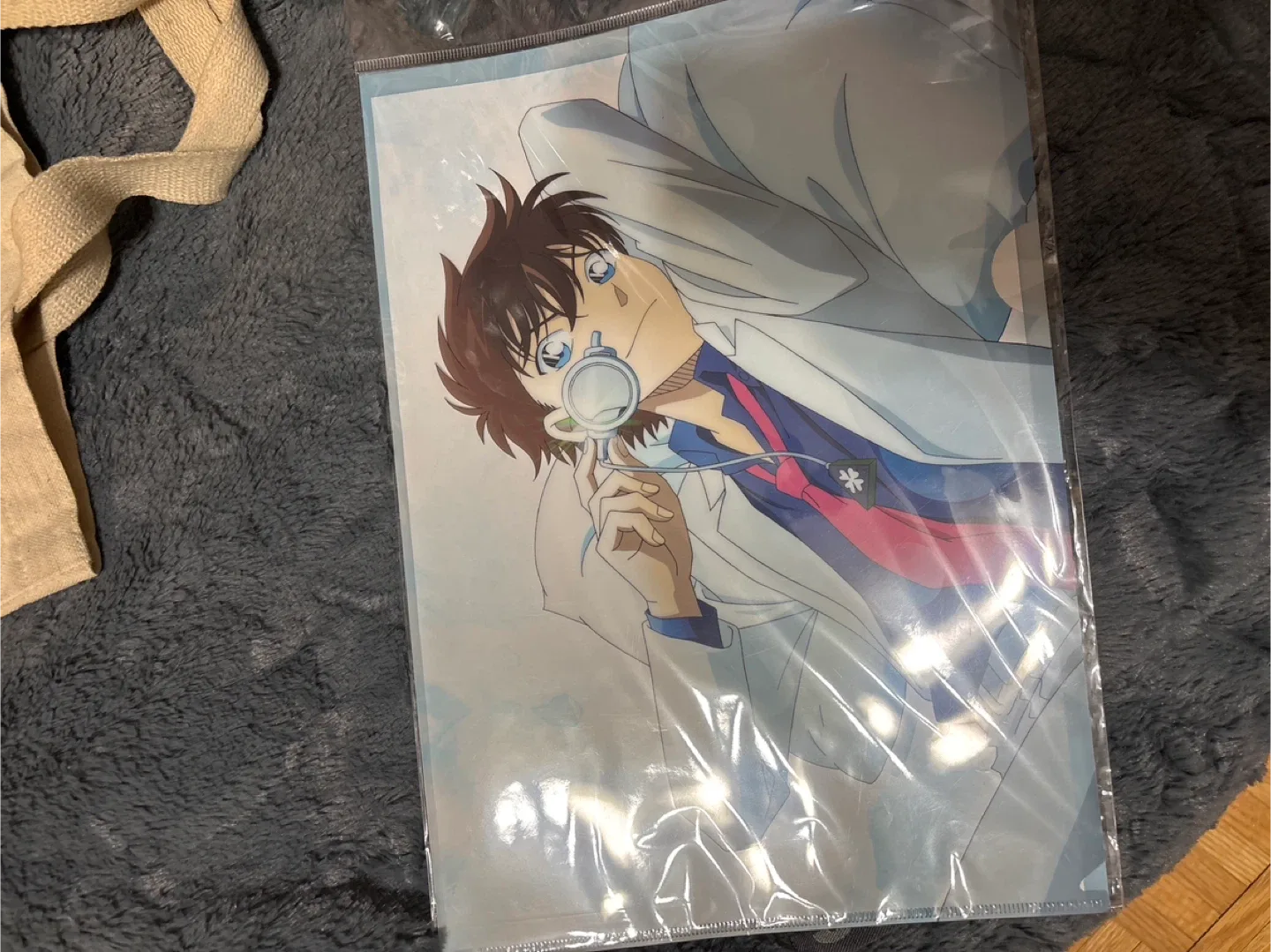 Detective Conan Plastic Paper Document Holder