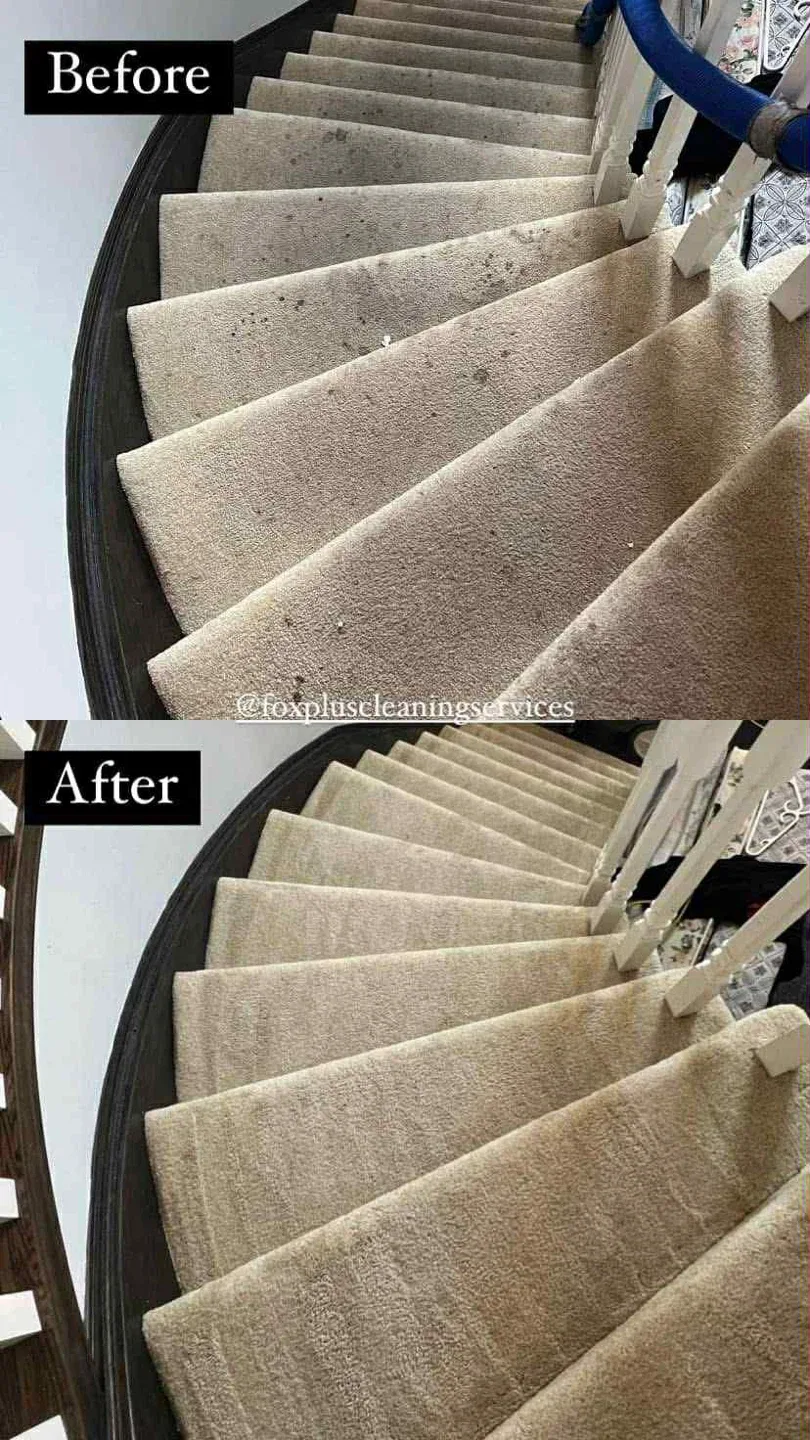 Fox Plus Cleaning Services