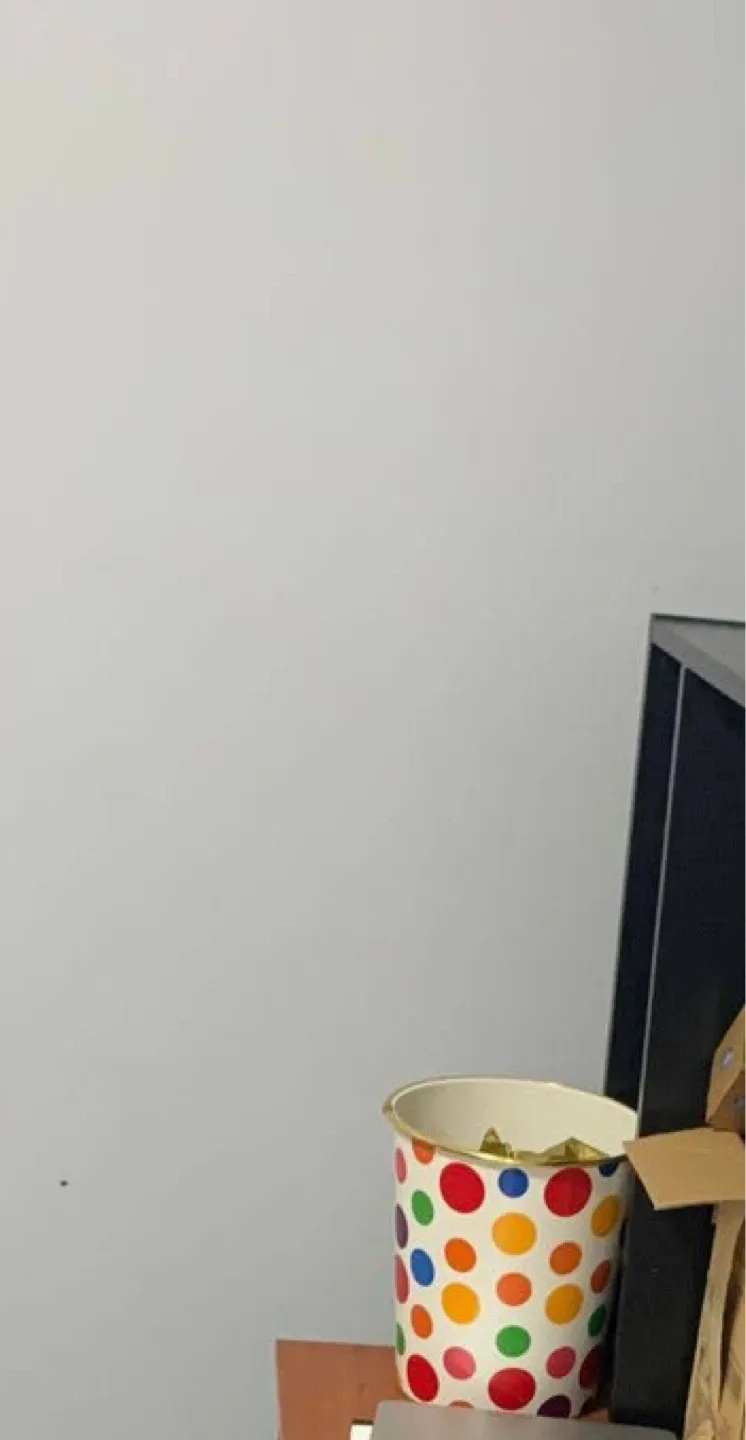 Polka Dot Decorative Bucket