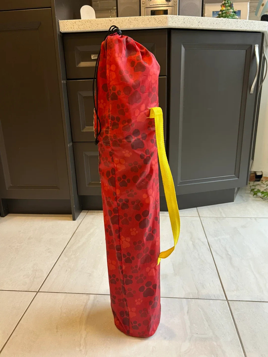 Paw Patrol Kids Camping Chair image indicator(5)