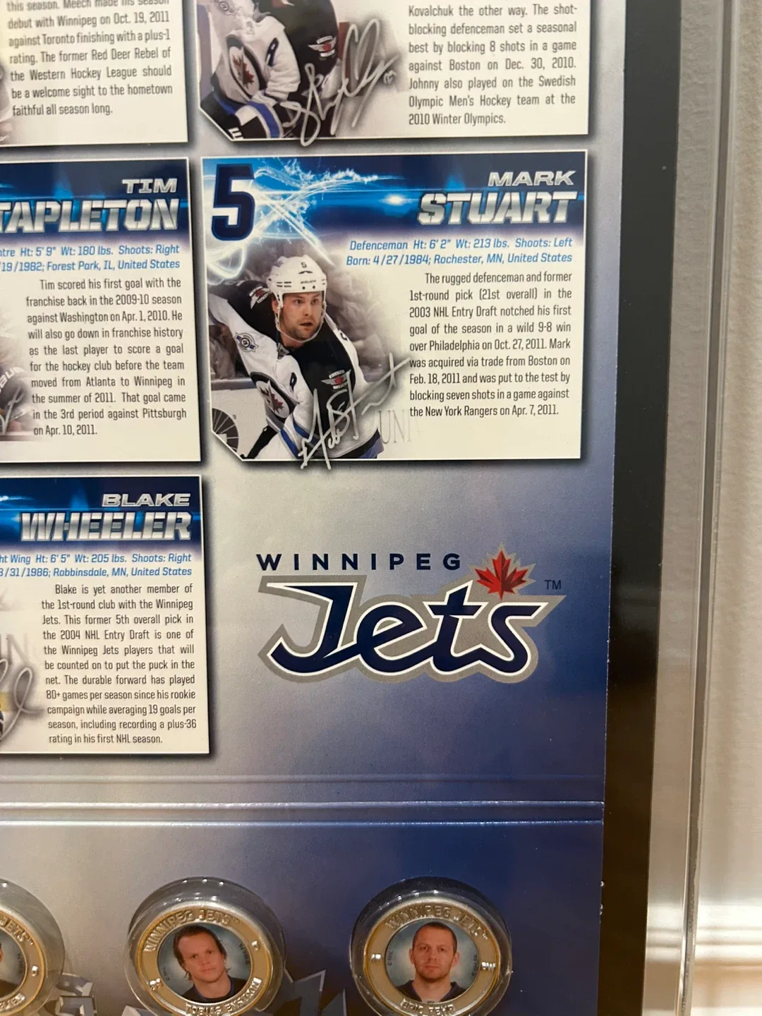 Winnipeg Jets Framed Collector's Display image indicator(2)