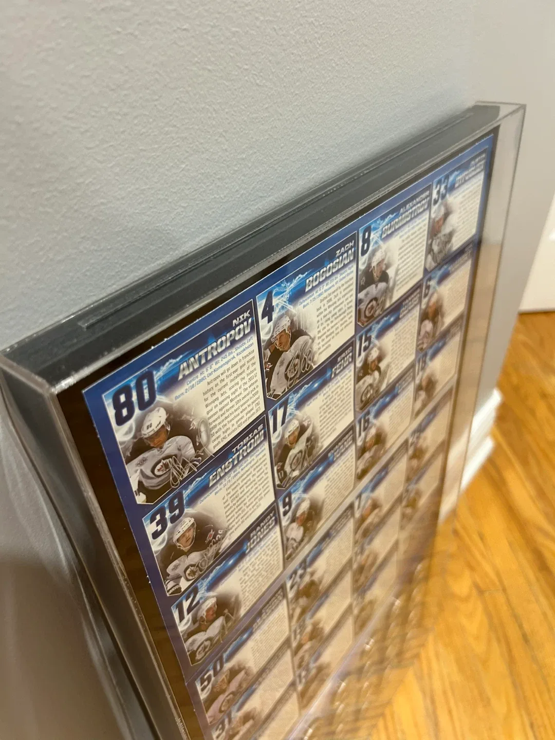 Winnipeg Jets Framed Collector's Display image indicator(6)