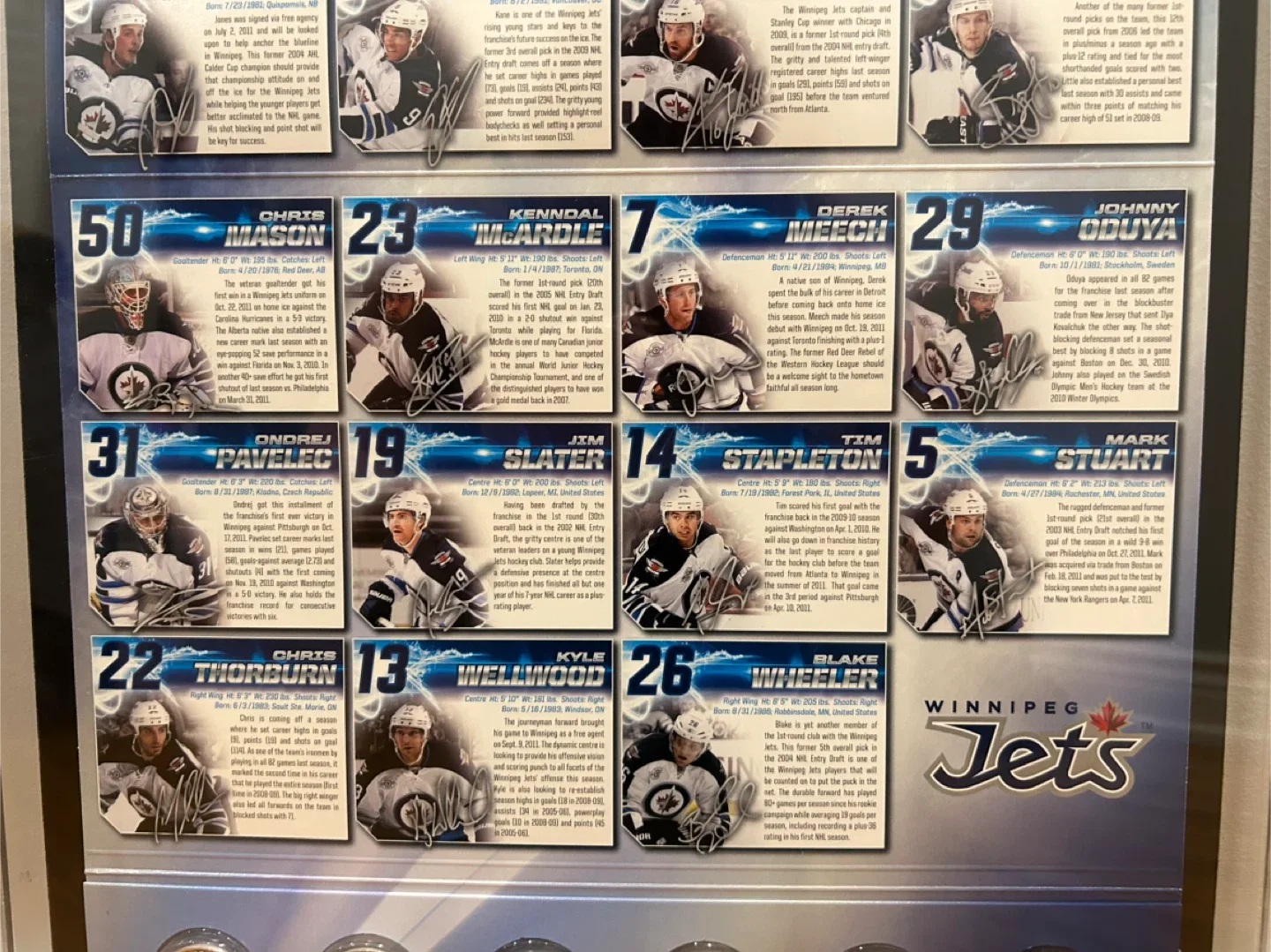 Winnipeg Jets Framed Collector's Display image indicator(4)