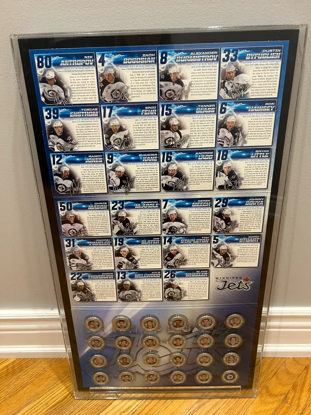 Winnipeg Jets Framed Collector's Display