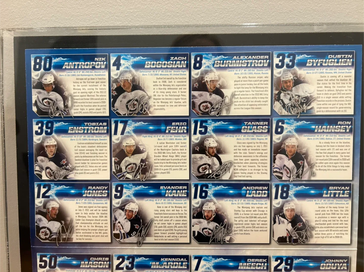 Winnipeg Jets Framed Collector's Display image indicator(3)