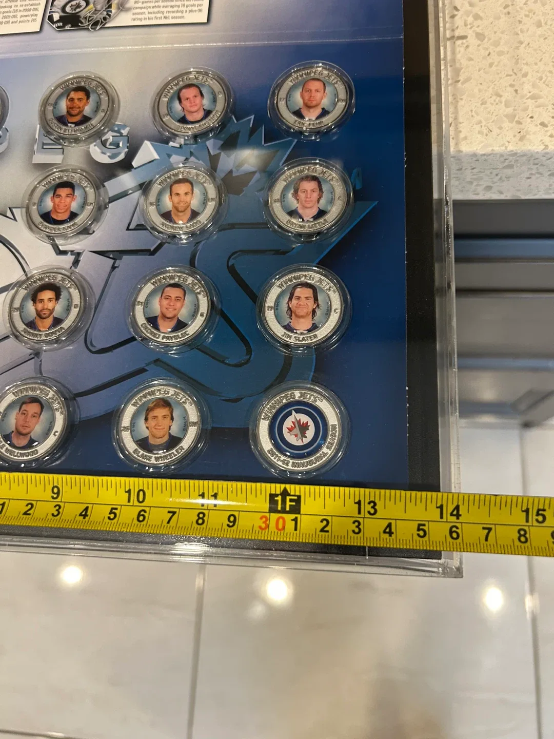 Winnipeg Jets Framed Collector's Display image indicator(8)