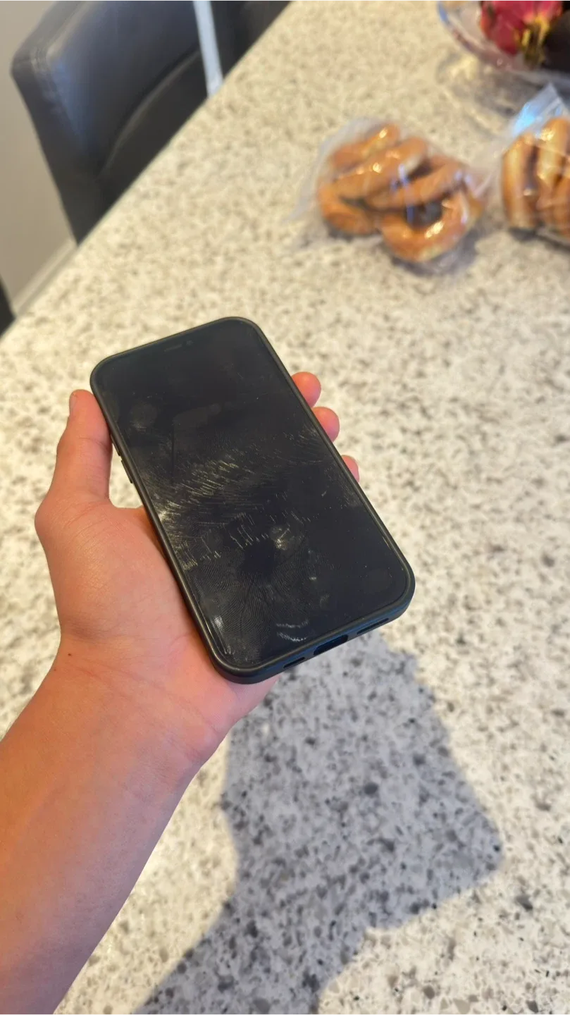 iPhone 12 image indicator(5)