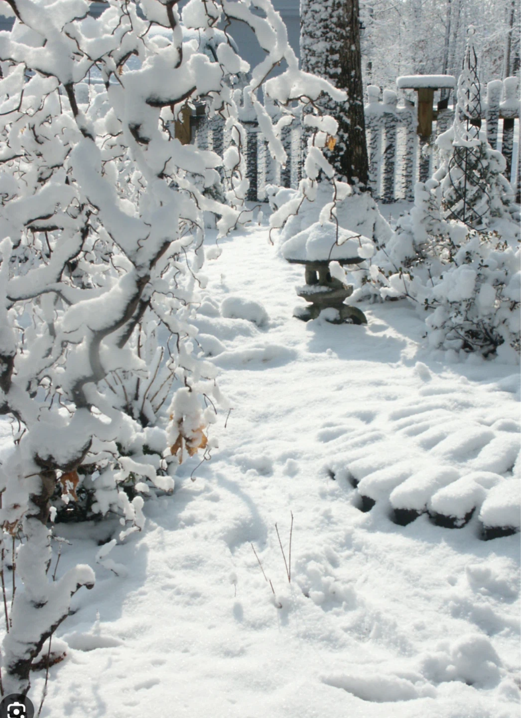 Snow shovelling in stony Creek