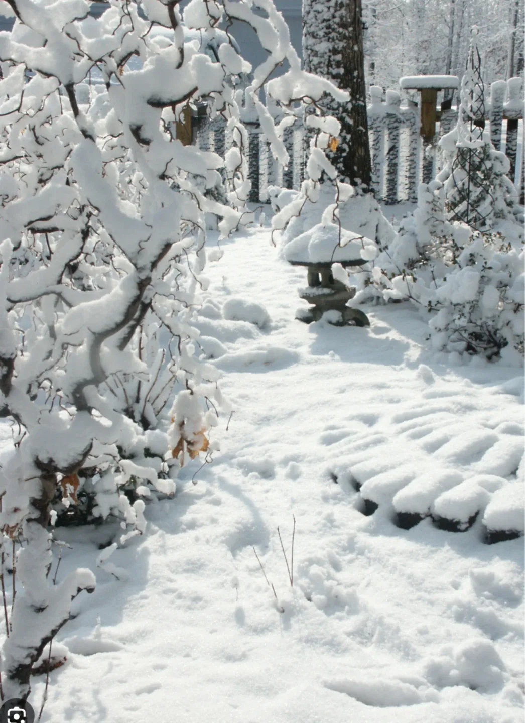 Snow shovelling in stony Creek