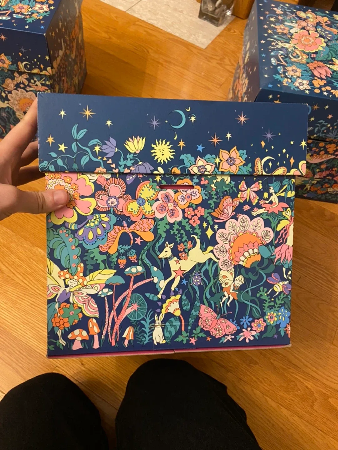 $5 take all Set of 3 Rifle Paper Co. Storage Boxes image indicator(2)