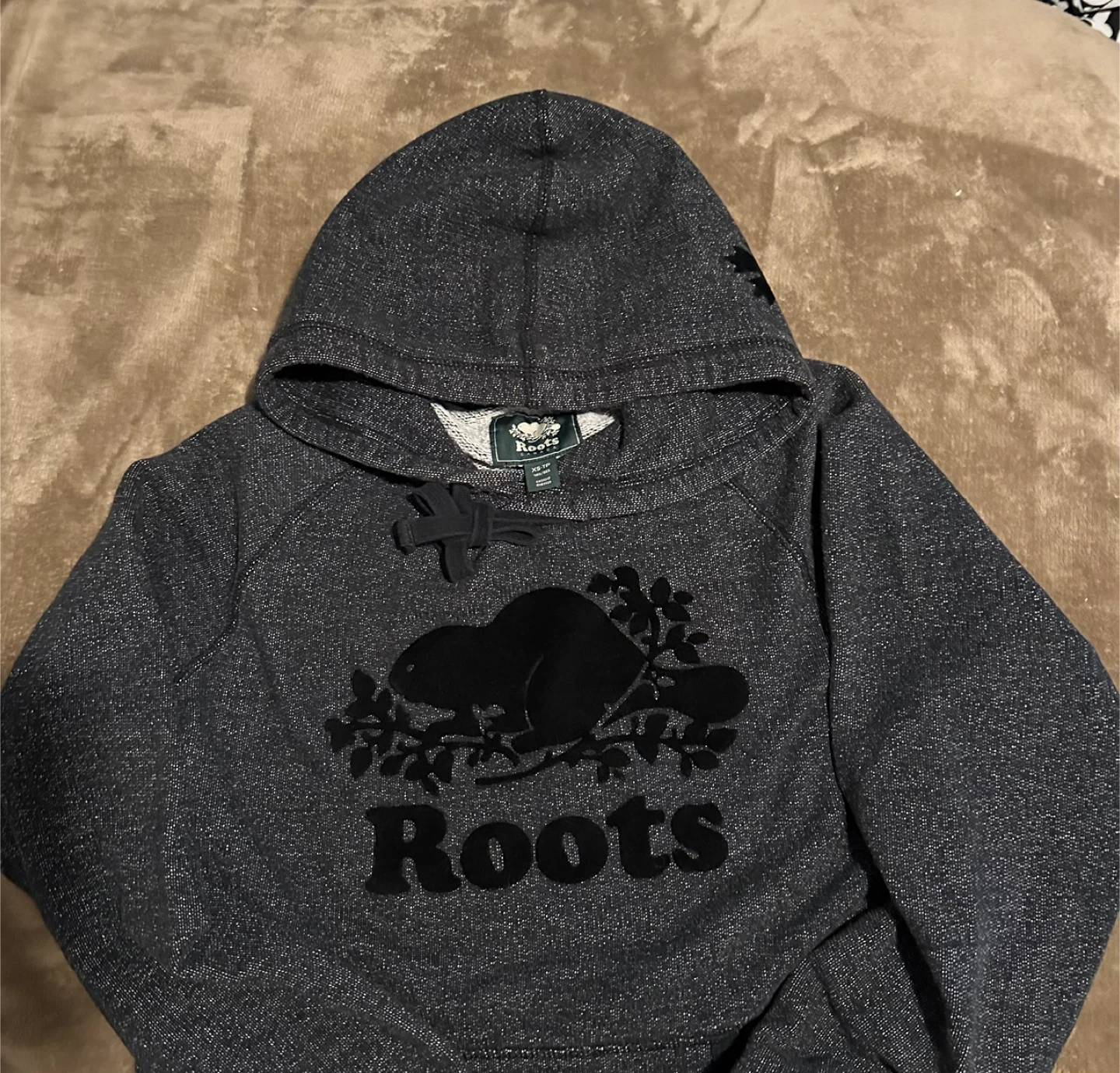 Roots Grey Hoodie - photo 2