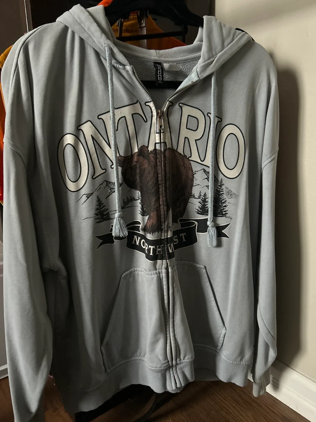 Divided Grey Ontario Bear Zip-Up Hoodie - Size M