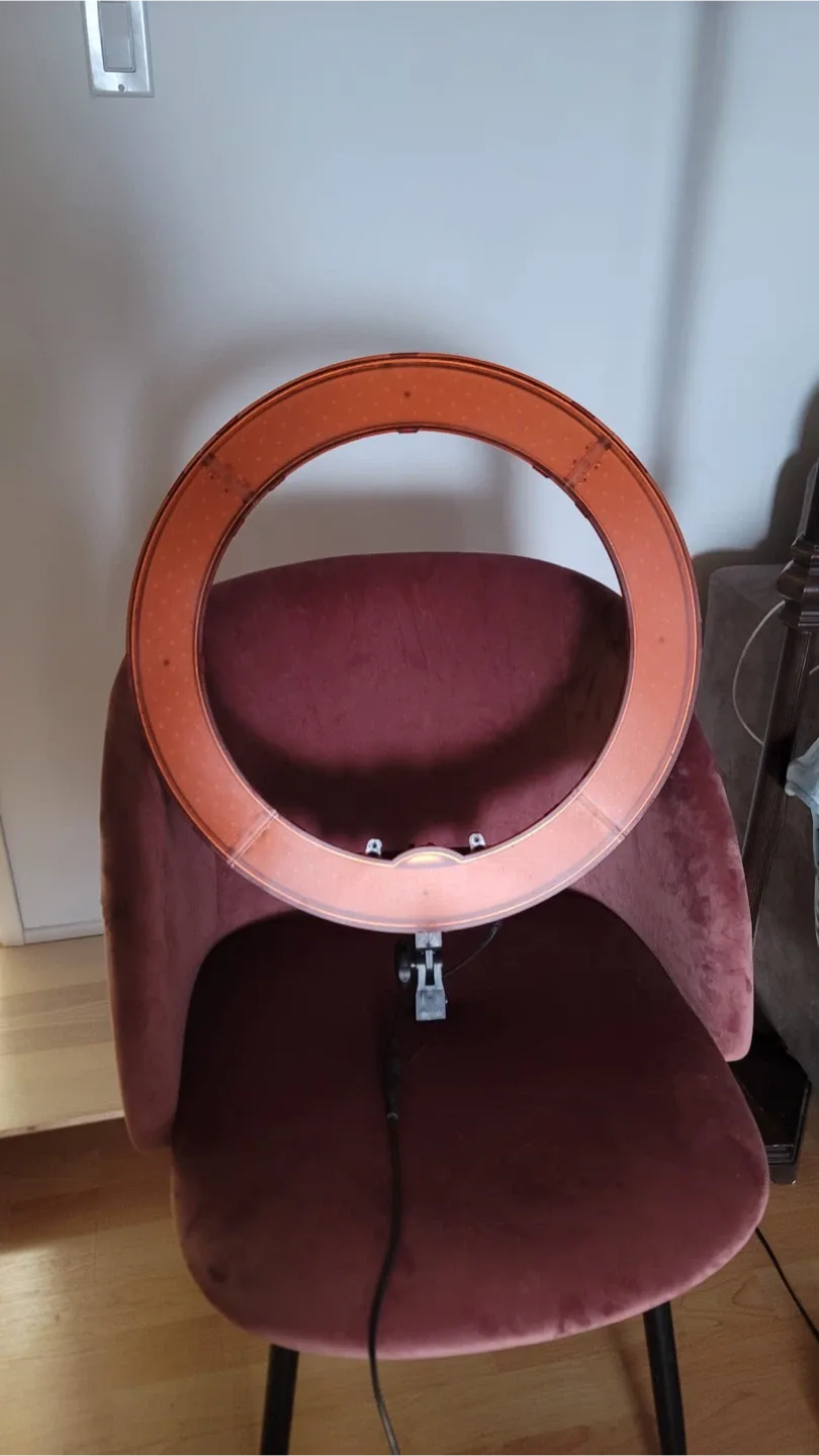 Neewer Ring Light with Bag