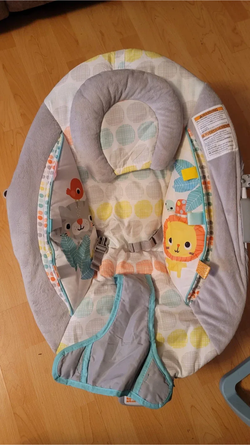 Bright Starts Baby Bouncer