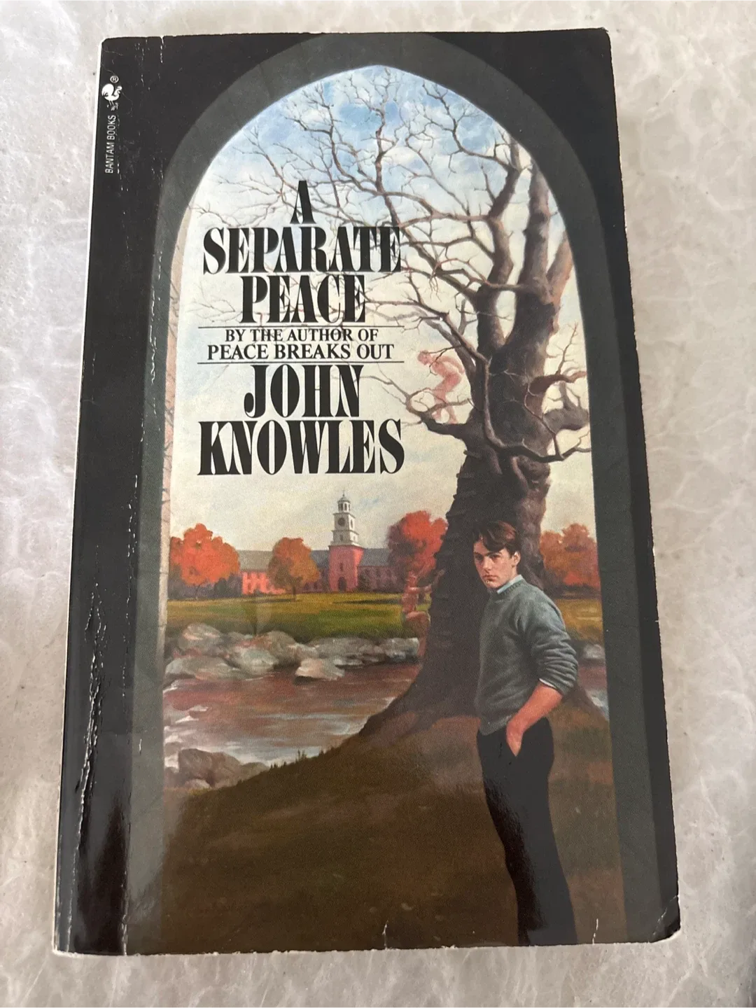 A Separate Peace by John Knowles