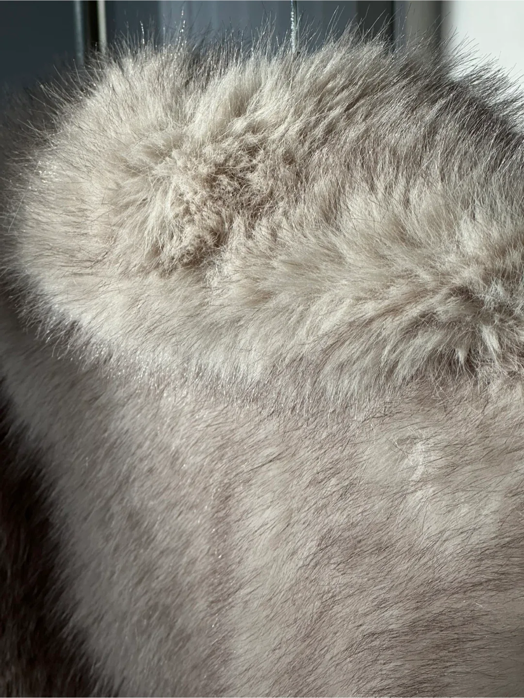 Zara Faux Fur Jacket - Size M image indicator(4)