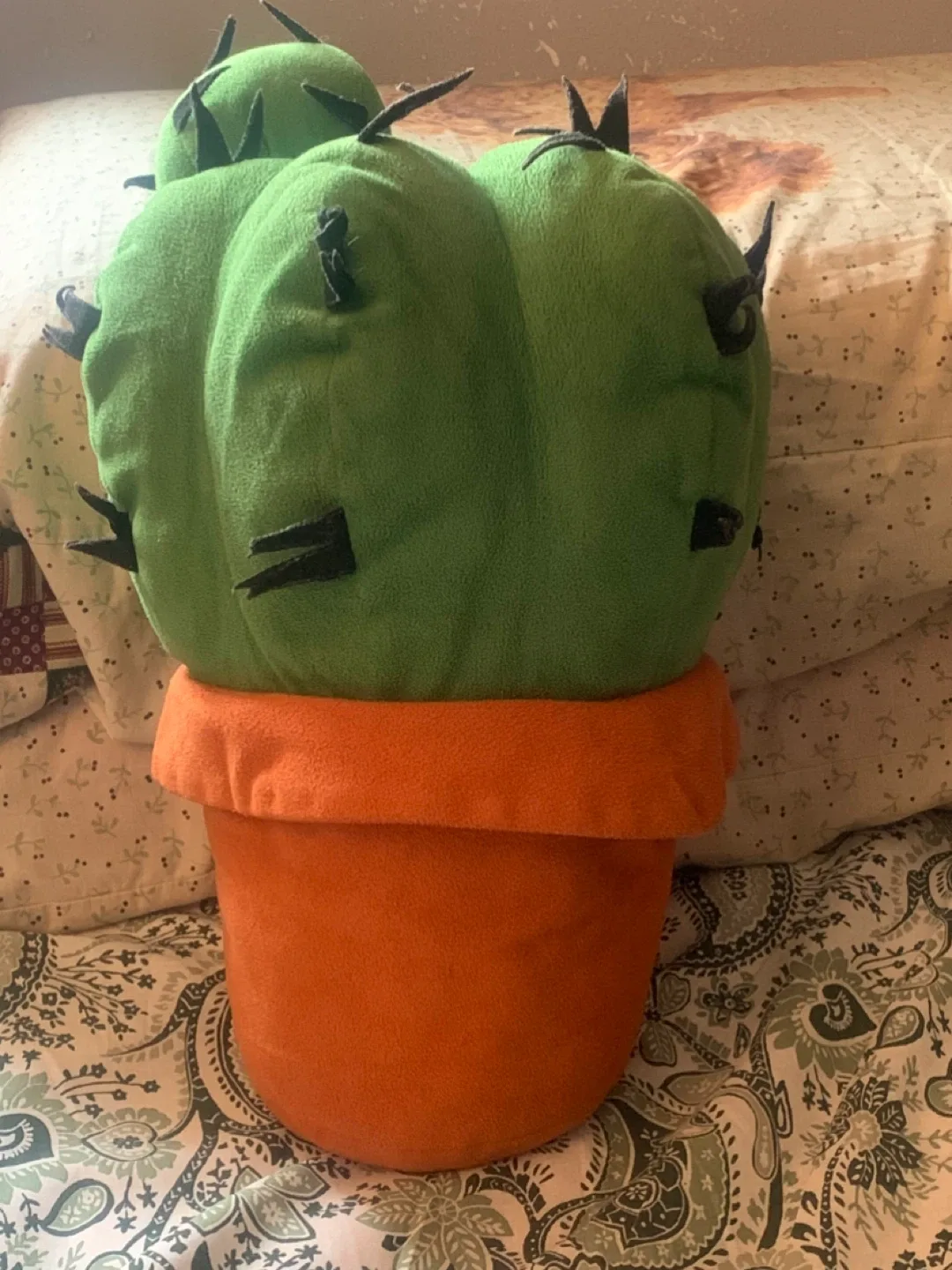 Cactus Plush Pillow image indicator(2)