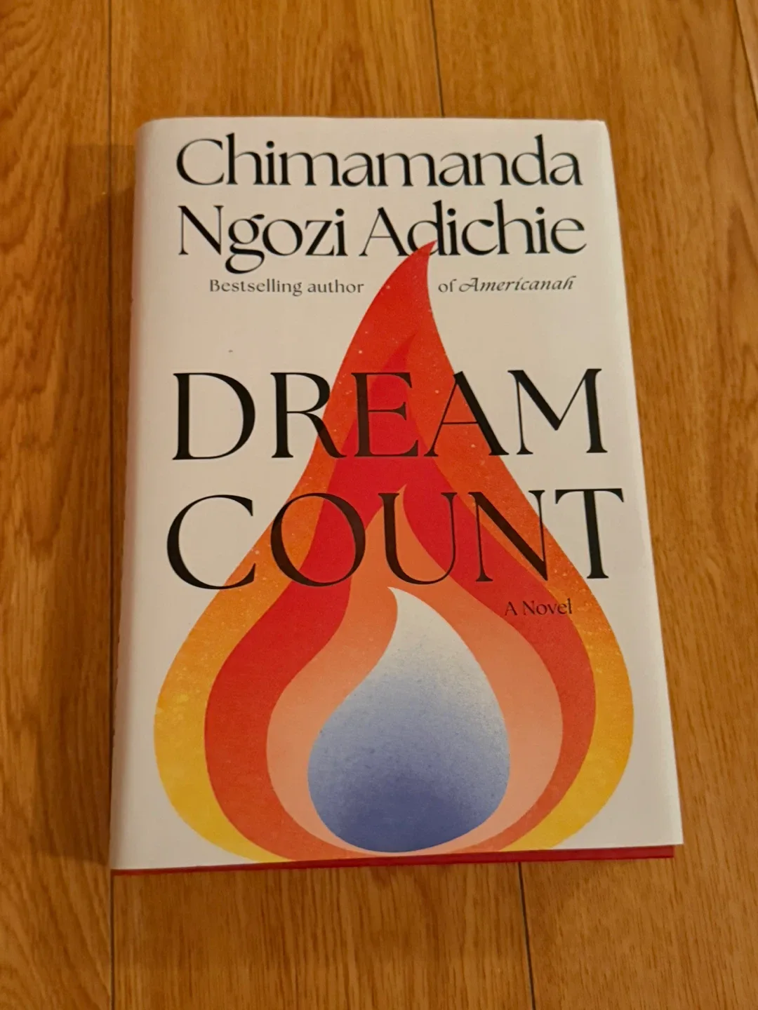 Dream Count by Chimamanda Ngozi Adichie