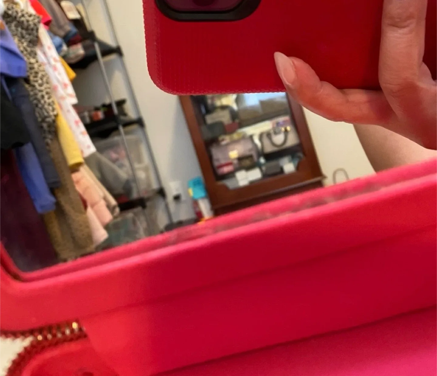 💯Authentic Dior Saddle case/clutch w/ 1 BN- Dior Lipstick 💄(976) image indicator(9)