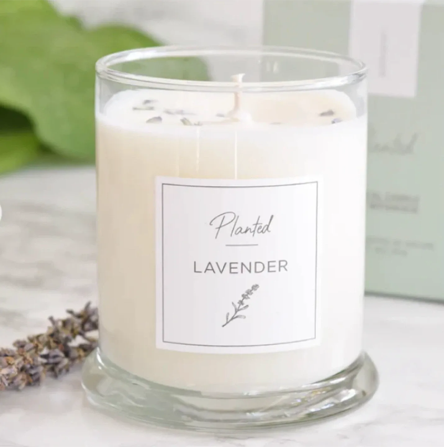 New Lavender 100% Soy Wax Botanical Candle