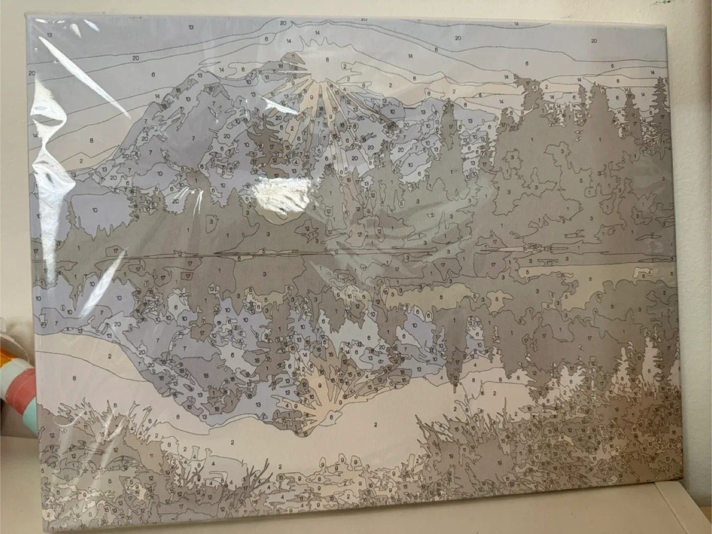 Paint by Numbers Kit - New