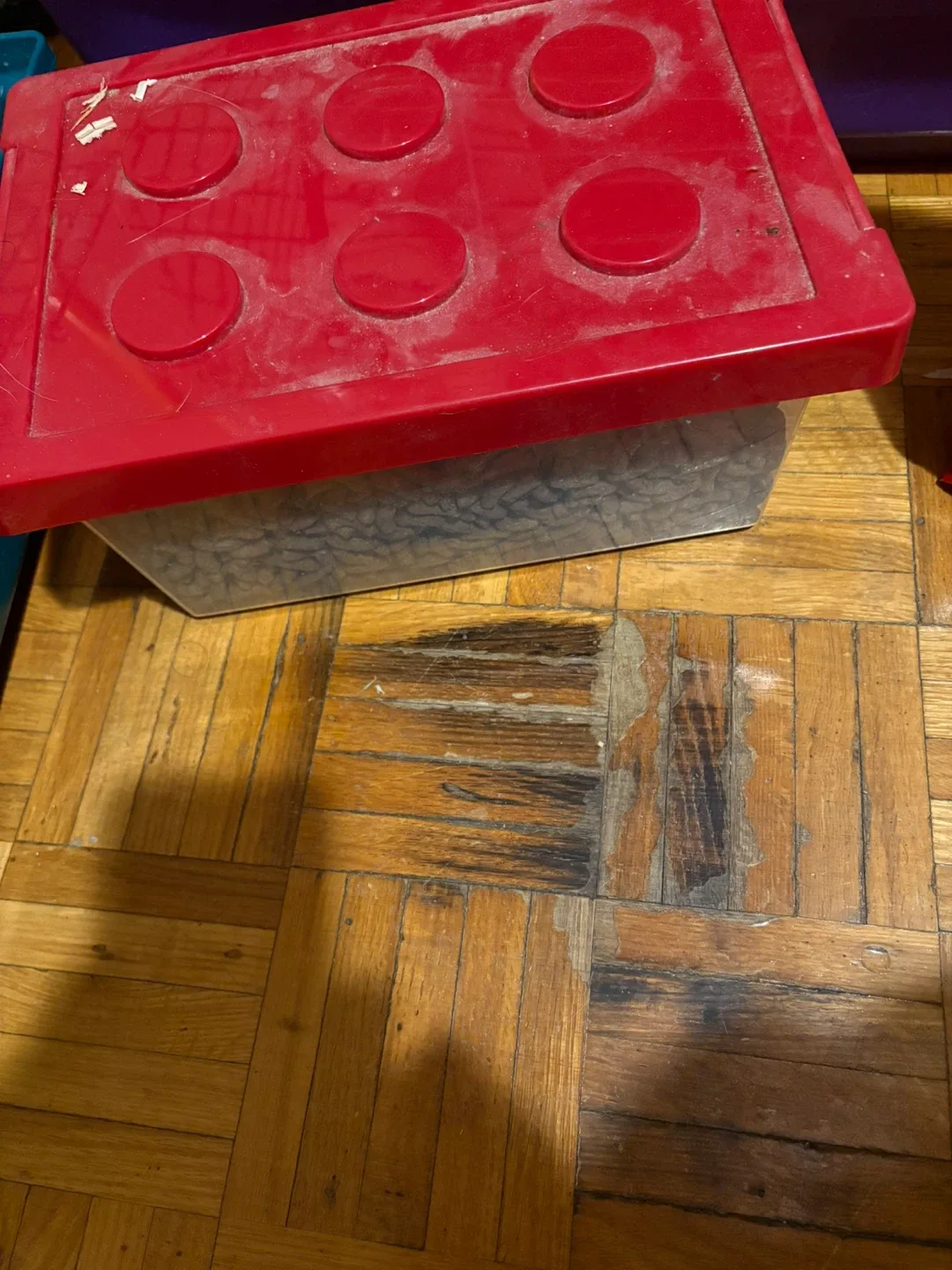 Rabbit cage with food