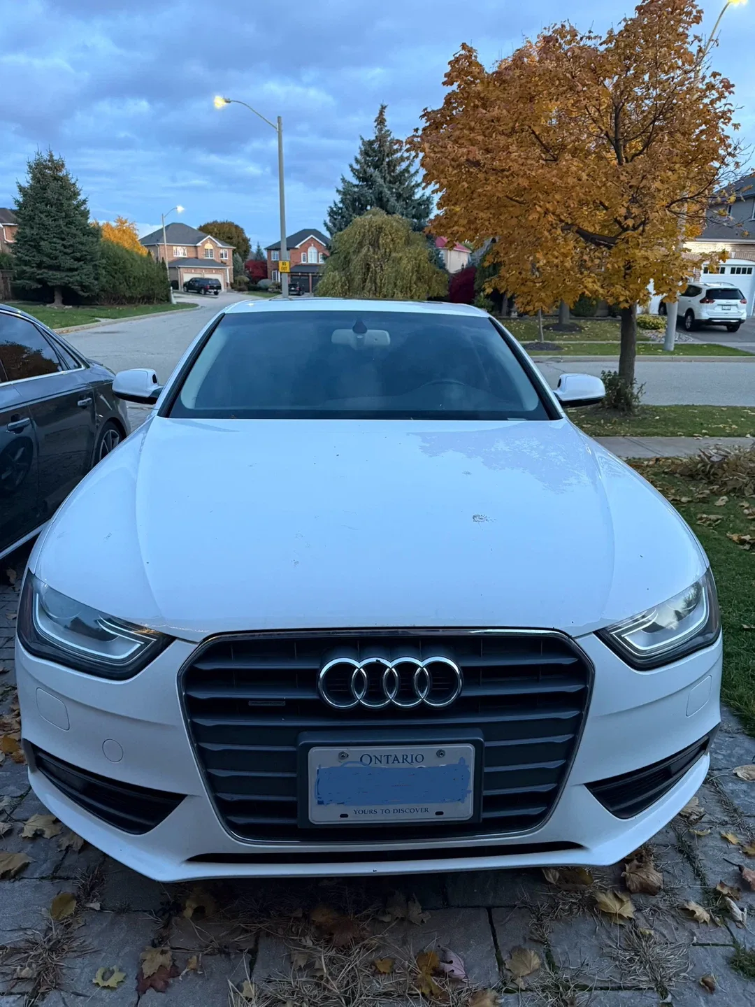 Audi A4 White Sedan
