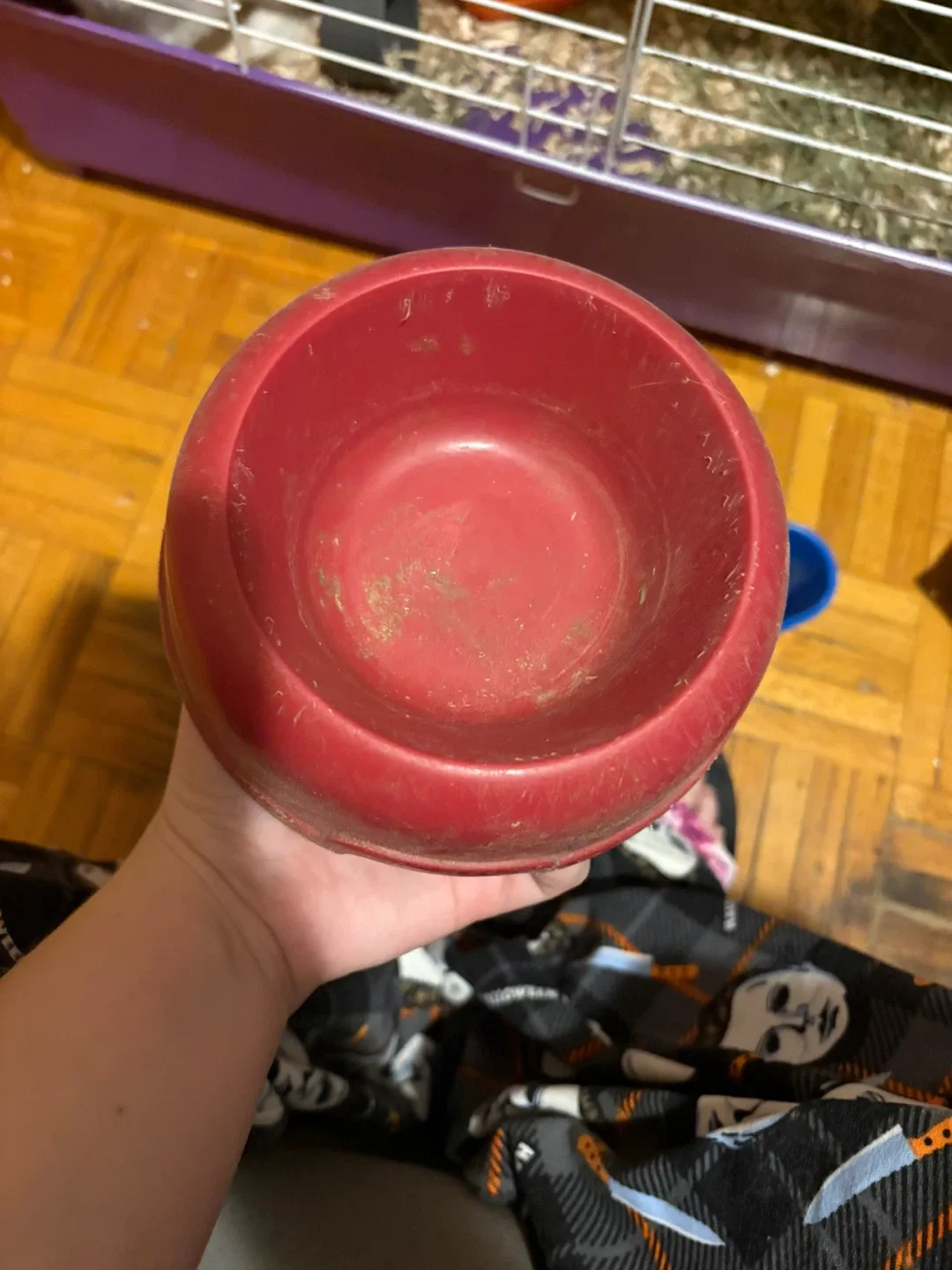 Rabbit Cage, Food Bowl, and Hay Rack image indicator(3)