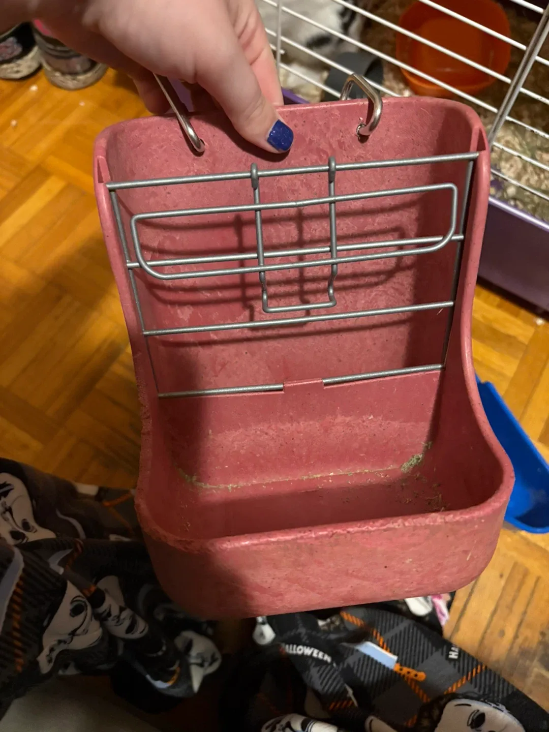 Rabbit Cage, Food Bowl, and Hay Rack image indicator(4)
