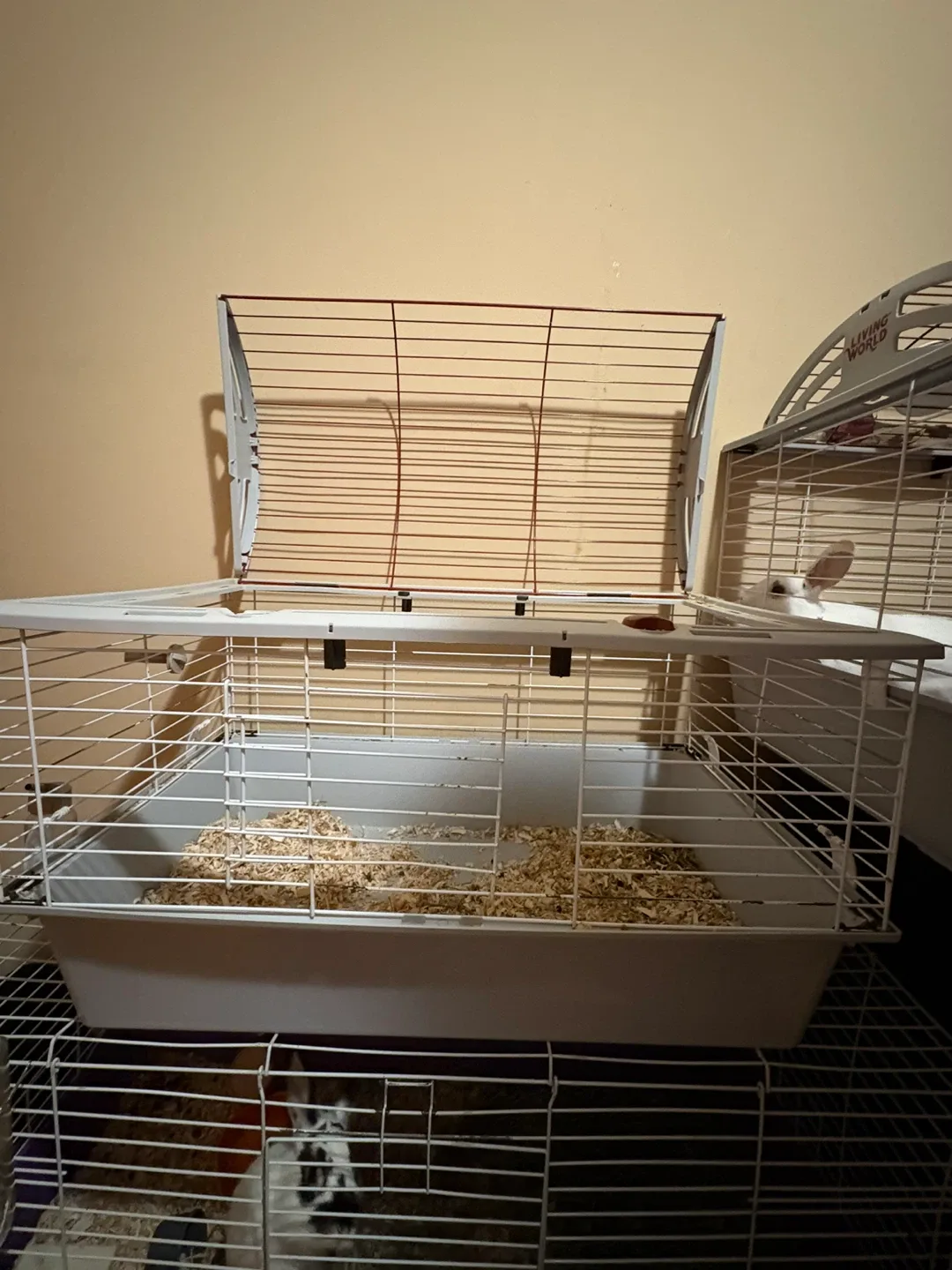 Rabbit Cage, Food Bowl, and Hay Rack image indicator(2)