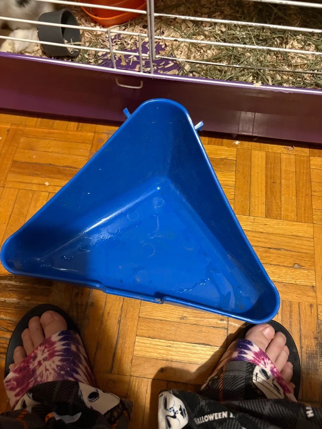 Rabbit Cage, Food Bowl, and Hay Rack image indicator(5)